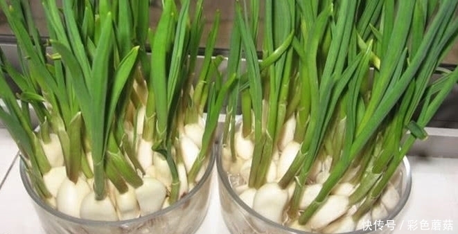 养肝|患有肝病不用怕，常吃这几样食物，排毒养肝，肝慢慢变好！