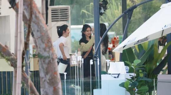 中餐厅5|《中餐厅5》定档，丁真姚安娜周也加盟，赵丽颖张碧晨一同飞行