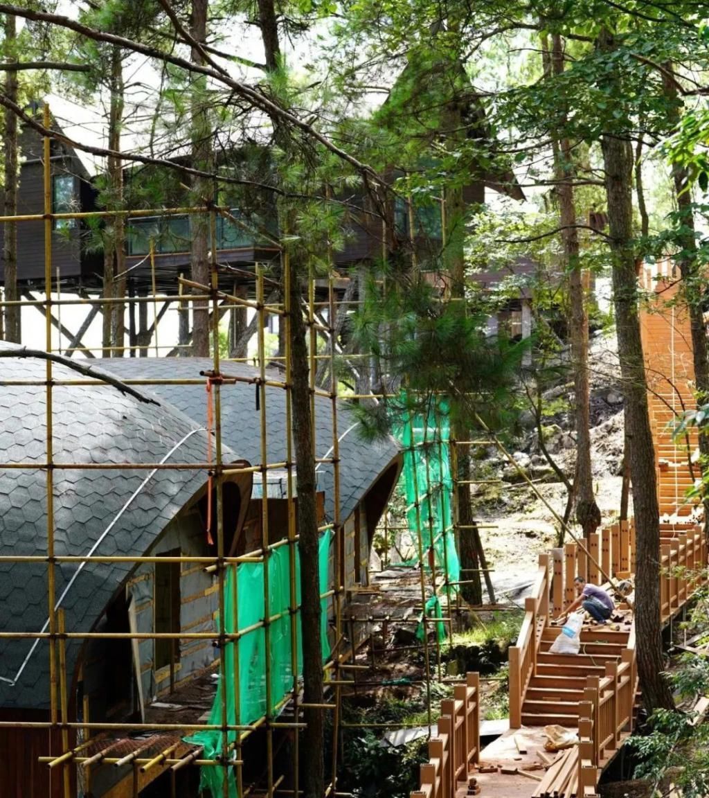 修树屋、帐篷酒店、无边泳池……金银山上在悄悄咪咪干大事