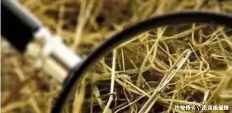 草木灰|古代女子没有卫生巾怎么办?原来她们有奇招