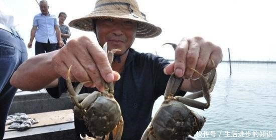 吃不完的扬州特产美食,来扬州,这十种特产一定要尝尝