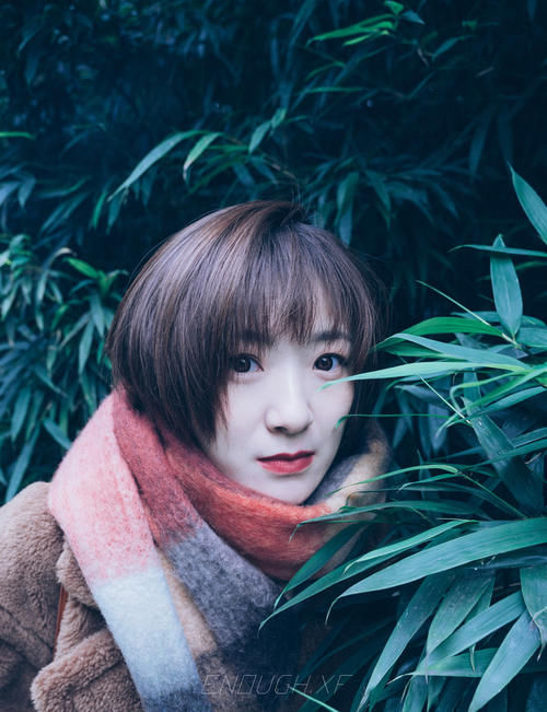 雾绿|冬,来临前的雾绿…