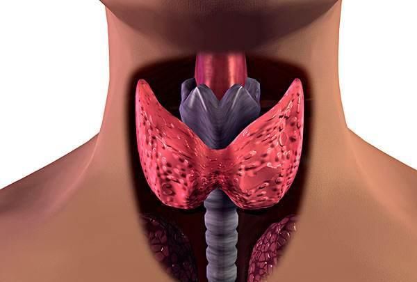 甲狀腺結(jié)節(jié)的“元兇”找到了，三物常端上餐桌，甲狀腺也會(huì)感謝你