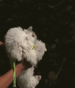 |搞笑GIF:赶紧拿纸给媳妇擦擦手啊,一点眼力都没有