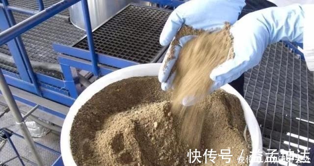 将骨头变成骨粉有几个简单技巧 用来养花有三大好处 粉紫色 将骨头变成骨粉有几个简单技巧 用来养花有三大好处 粉紫色