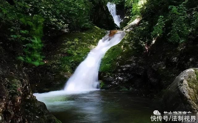 柞水|初夏时节，来柞水感受葱葱绿意~