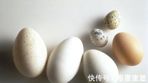 营养价值|鸡蛋、鸭蛋、鹌鹑蛋哪种营养最丰富?需要补充营养的人,来了解下