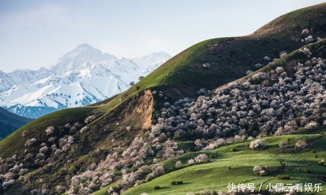 大唐|阳春三月,春回大地,三月赏花好去处