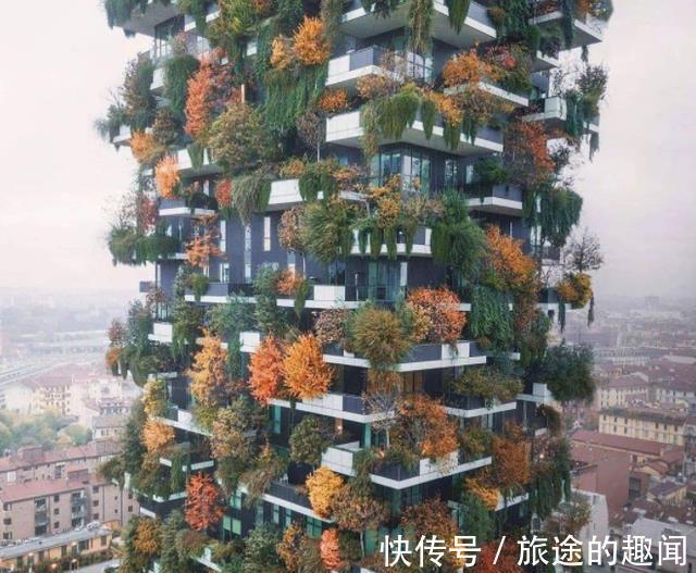 庭院|中国将迎来第四代住房,家家有院子车停门口,电梯房时代过去了
