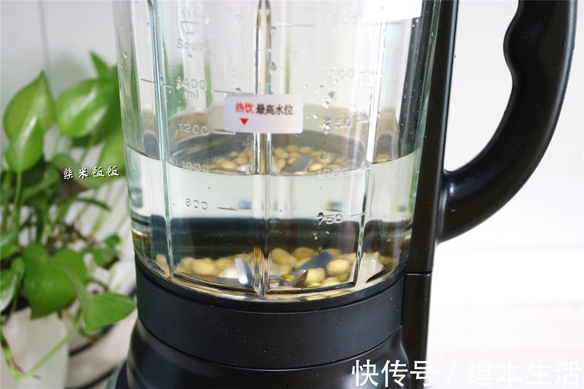 豆浆|夏季喝豆浆，别只放黄豆，多加这3样，清热润肺又消暑