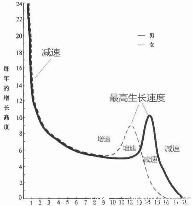 生长激素|处于青春期的女生,最好别碰几种禁区,否则和“大长腿”无缘!