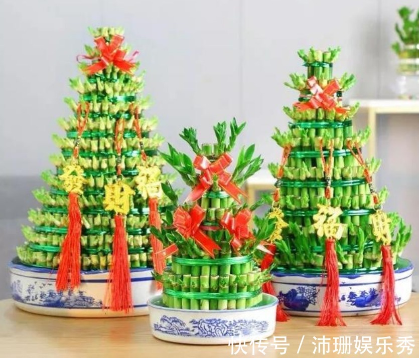 3种花自带“财运”，养家里一盆，财源广进，好运滚滚来！