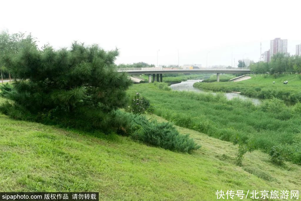 小北|野趣十足的免费公园，还有石榴！周末约起~