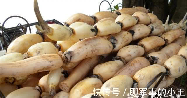 补虚季|一年中最重要的补虚季,秋天吃这5种食物,让虚弱的脏腑强健起来