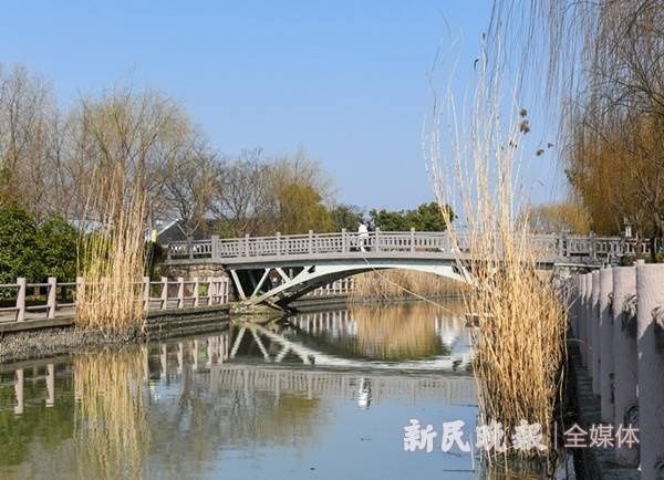 乡愁寄此乡|从“枫泾最弱”到网红打卡 这个小乡村在振兴之路上越走越宽| 山西