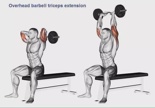 弯杆|最全的肱二三头肌训练图解，漂亮手臂必备！