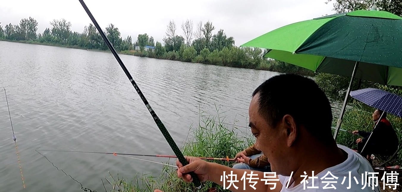 破坏|为了几条便宜鱼，硬生生把自己送进了班房，钓鱼人的天堂遭破坏