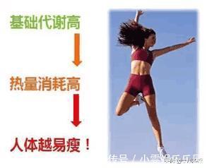 主因|代谢水平下降是导致中年发福的主因，做到4点，提升基础代谢水平