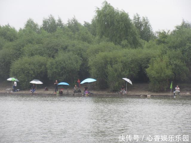 30多年前，我花一块钱买的钓鱼小册子，让我悟出了钓鱼的门道