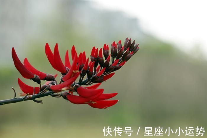 完美邂逅|未来一周，桃花傍身，与真爱完美邂逅，情谊永驻心头的3生肖