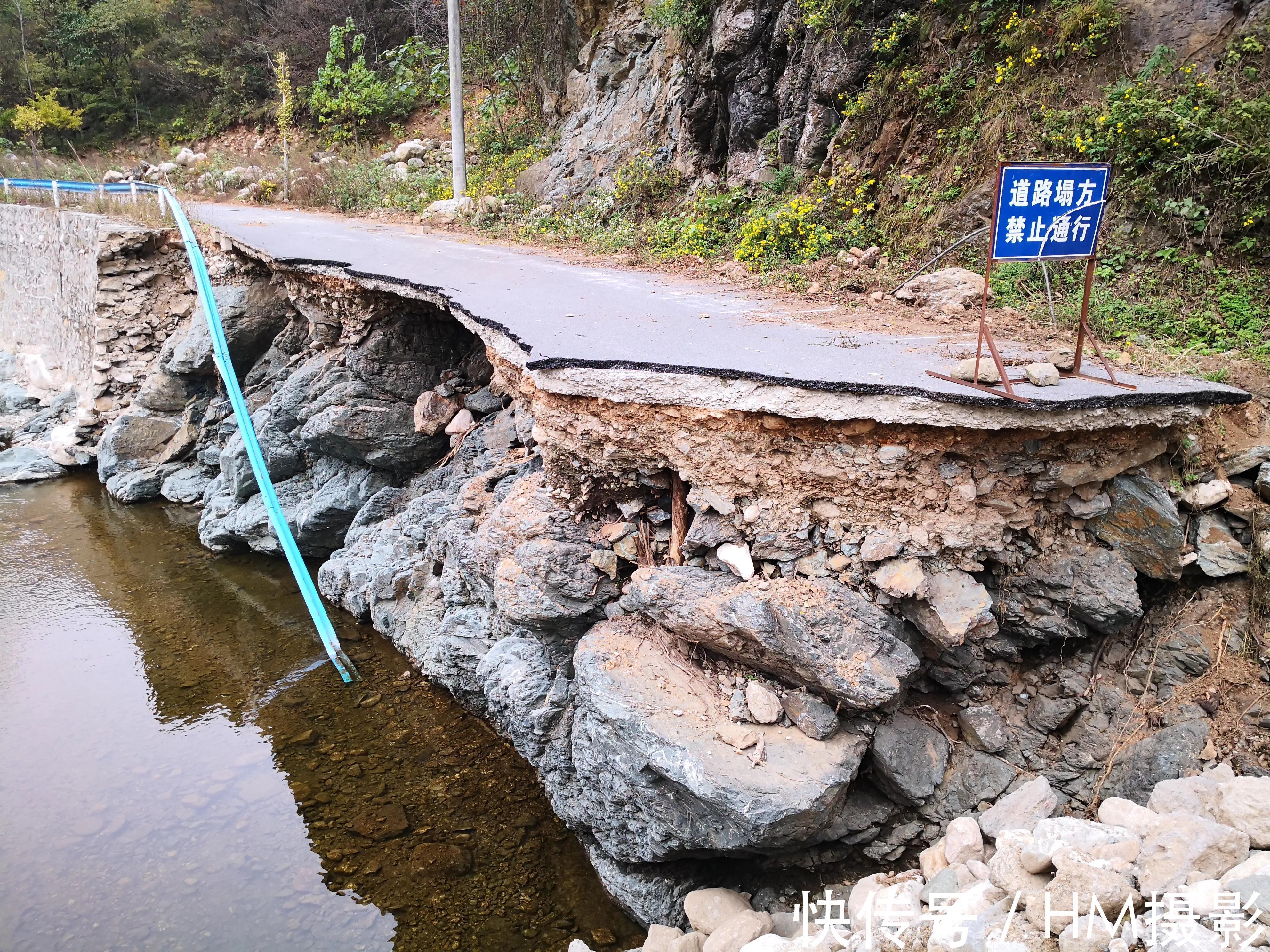 银杏|地球上没被遗忘的角落