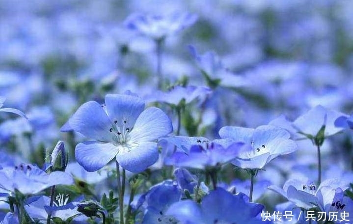 童话里的世界是个梦幻的地方,童话里的世界是个奇妙的地方!