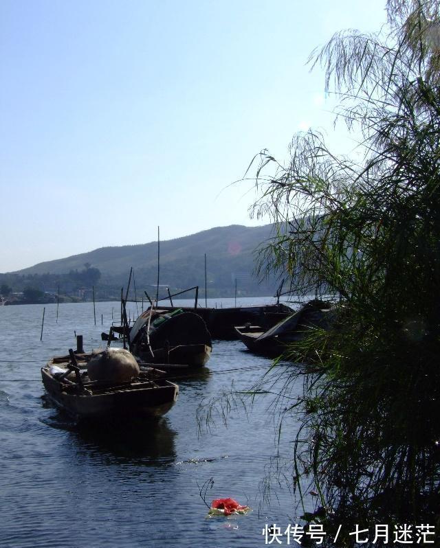 进港#聊斋故事:老头抓贼