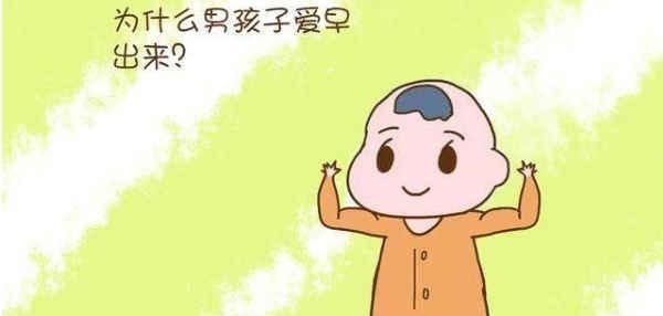 爱动|为什么男宝宝爱提前出生“早生贵子”有没有道理