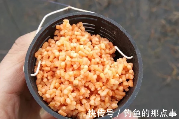 冬钓最适合使用隔夜窝,满足这四点进窝的鲫鱼才会多