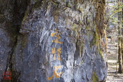 只有云杉坪，蓝月谷的玉龙雪山之旅遗憾么？知足才是旅途最好心态