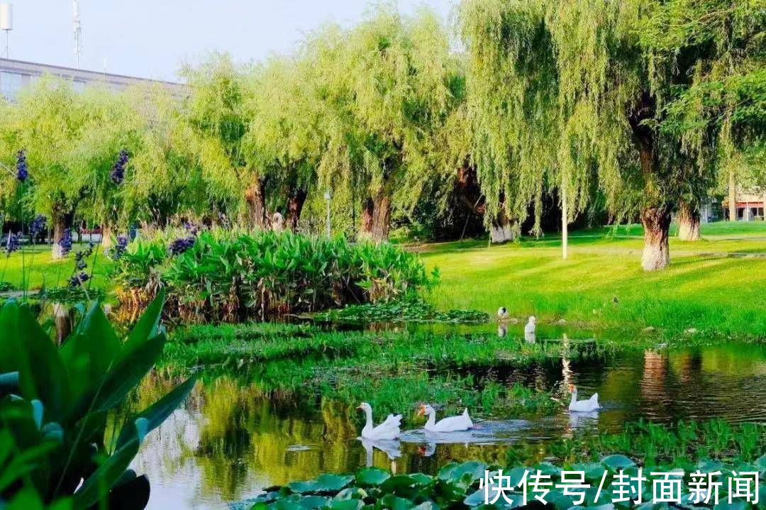 四川农业大学|封面研学｜待到春暖花开 瞰遍四川高校