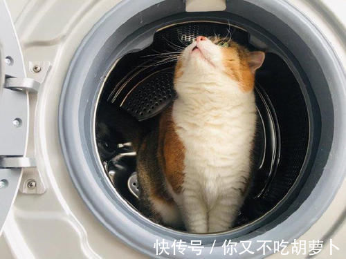 摆放|多数人都会犯的错，洗衣机的最佳摆放位置，其实就在这里！