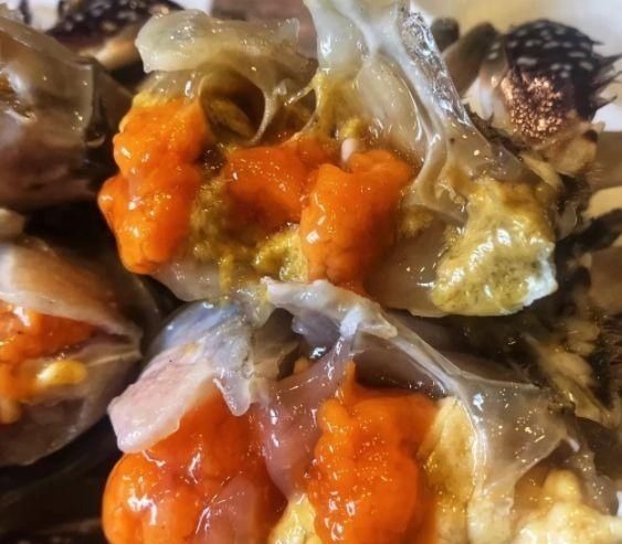 蒸螃蟹时，直接上锅蒸就错了，多加1步，肉质鲜嫩细腻没腥味