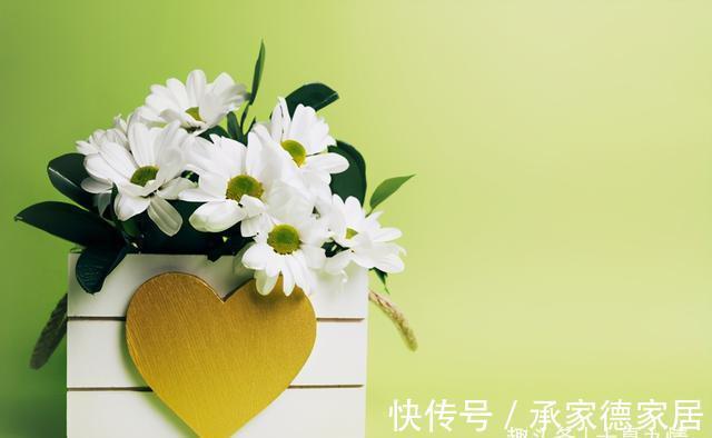 贷款买房|“儿媳,俺家贷款买房,你家装修还房贷”“房产证可没有俺名字”