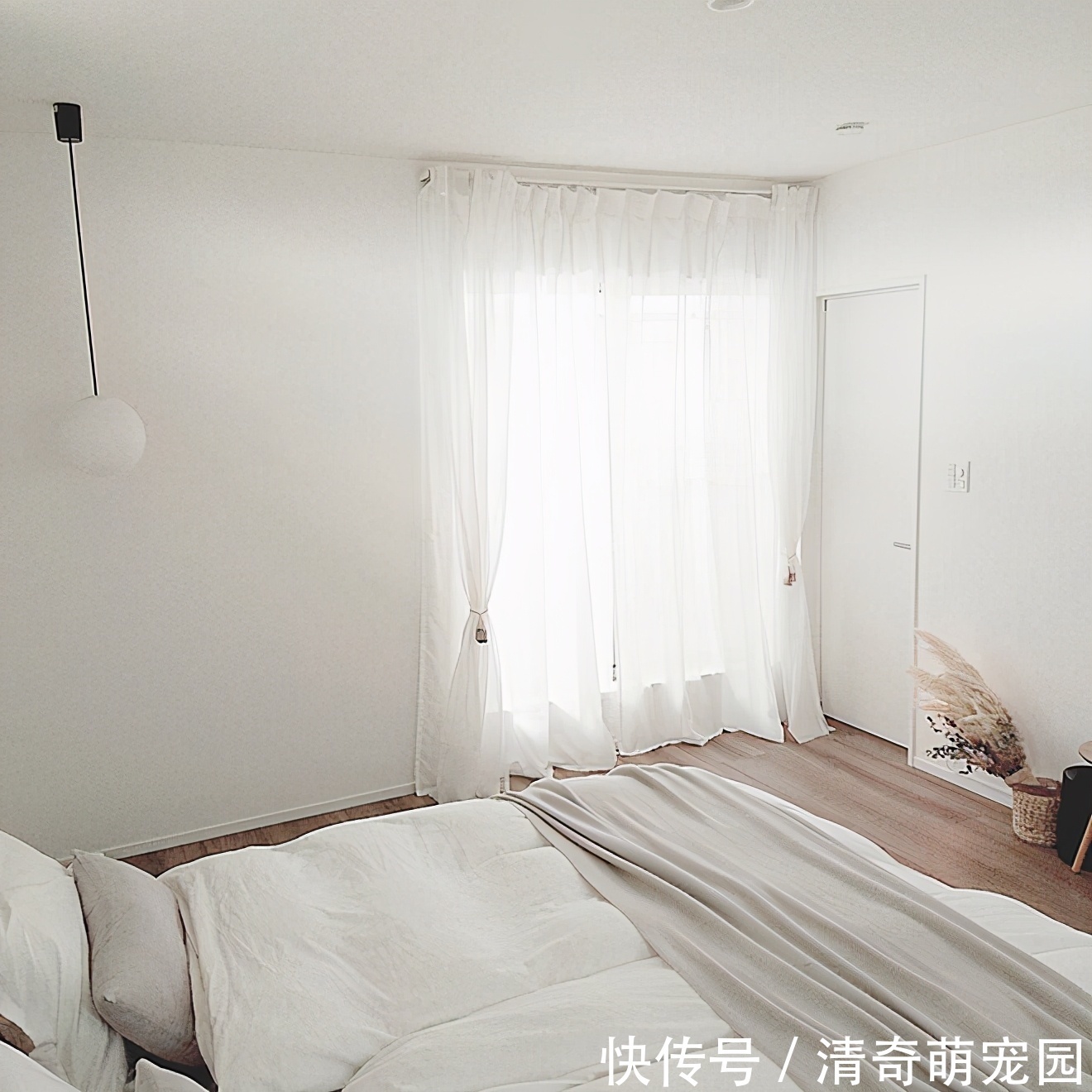 收拾|日本太太坚持一天收拾一个区域,家里整洁有序,真的很治愈