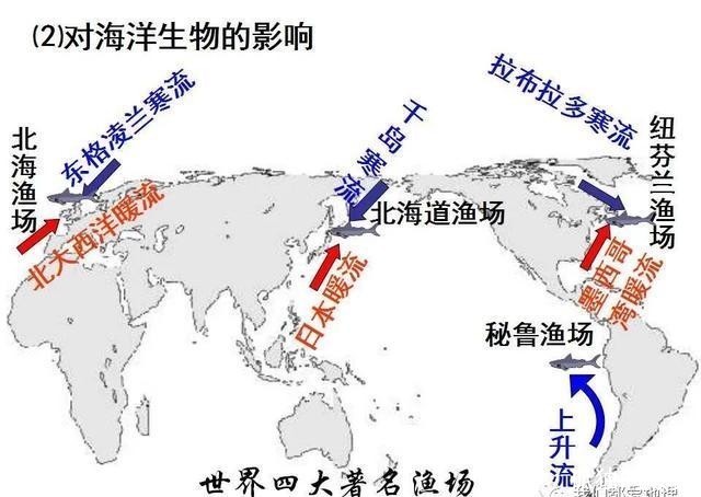 必修|人教版（2019）选择性必修Ⅰ 4.2 洋流