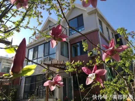 美好时光|花园改造：3年前买了栋带170㎡花园的房子，过上种花草的乡村生活