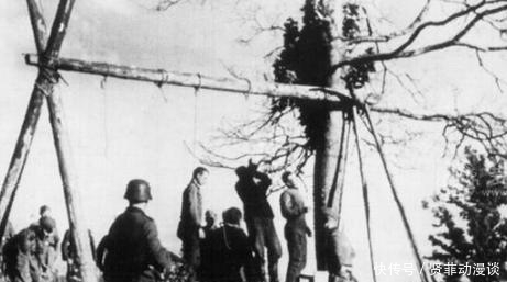 动作|苏联报刊上的德国老照片:青年自己爬上绞刑架,最后动作让人沉默