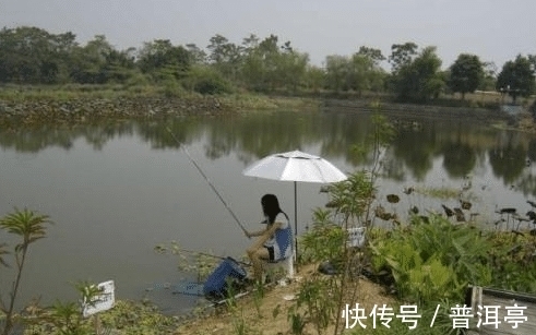 鱼类|为什么说“退水鱼难钓”?密度大不是更好钓吗?老钓客说出了原因