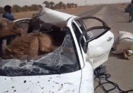 |搞笑GIF:女汉子真是不简单啊,还以为妹子要坐上去呢