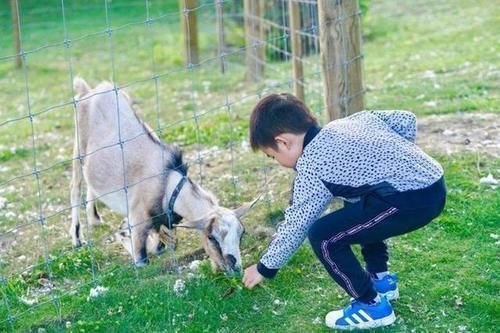 高楼大厦|9岁男孩喜欢玩泥巴,爸爸网上晒出儿子的杰作,网友:鬼斧神工!