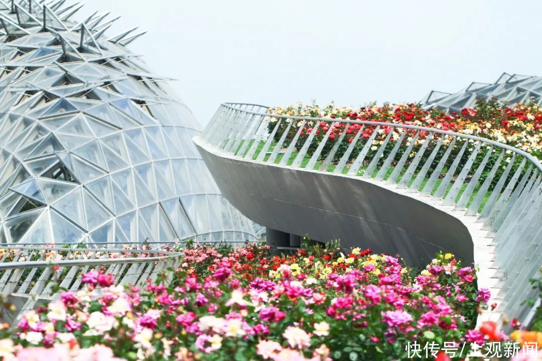 辰山植物园|本月起，只要你来自这九座城市，可享辰山植物园门票半价优惠