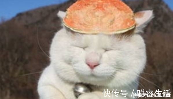 |趣味段子：能给你们带来欢乐，是我的荣幸！