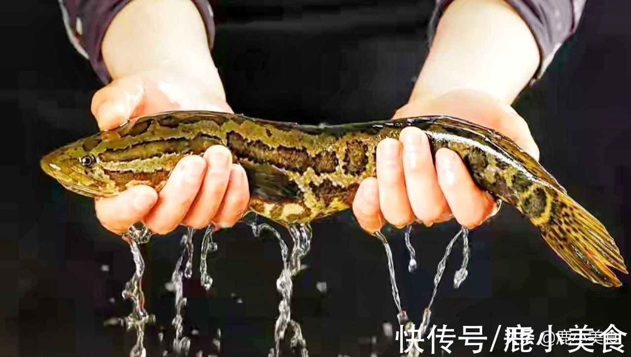 菠菜|明日霜降，记得让家人多吃“3肉3菜3果”，顺应而食，健康迎冬