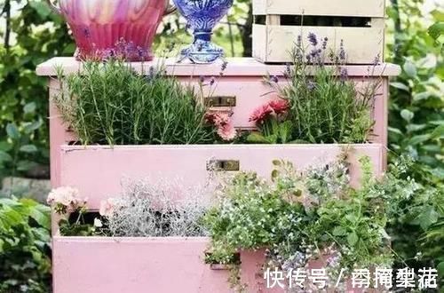 花盆|除了花盆之外,这些东西也是绝佳的养花神器,你用过吗?