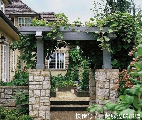 四邻|建议家有院子的别铺水泥！瞧瞧下图，真有才，街坊四邻纷纷效仿