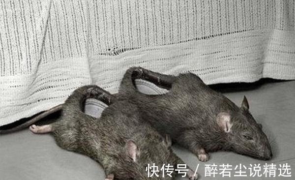 高跟鞋|穿这样的高跟鞋走在街上确定不会被认成奇葩,外国女星竟然天天穿