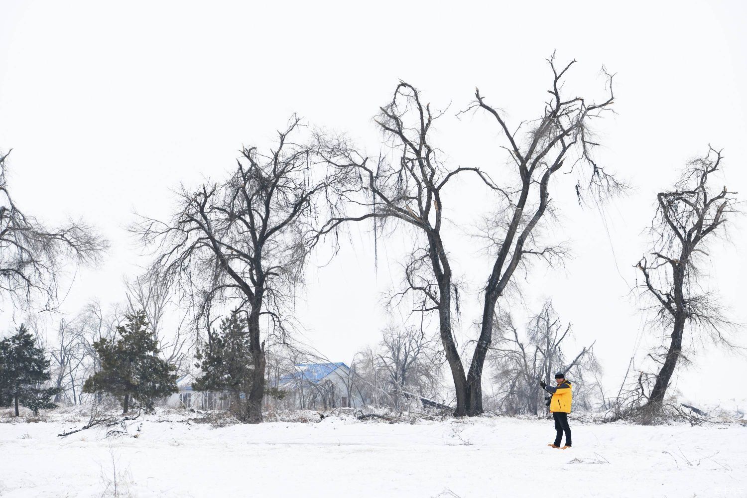 美丽的北国风光，千里冰封，万里雪飘