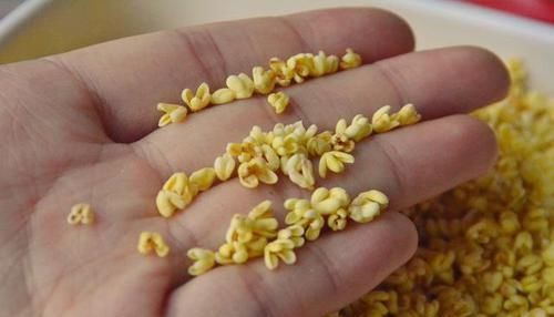 又到一年桂花香，教你自制桂花酱，香味浓郁，尝一口惊艳了味蕾