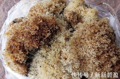 |沙雕动画,搞笑:捡到一张大钞票,吃空了小卖部,差点被打死!